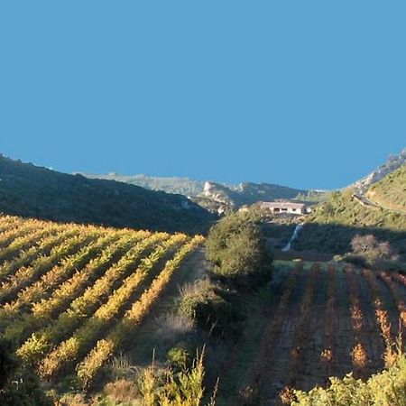 Gite Dans Ancienne Bergerie En Pleine Garrigue Fraisse-des-Corbieres Екстер'єр фото