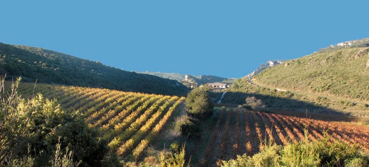 Gite Dans Ancienne Bergerie En Pleine Garrigue Fraisse-des-Corbieres Екстер'єр фото