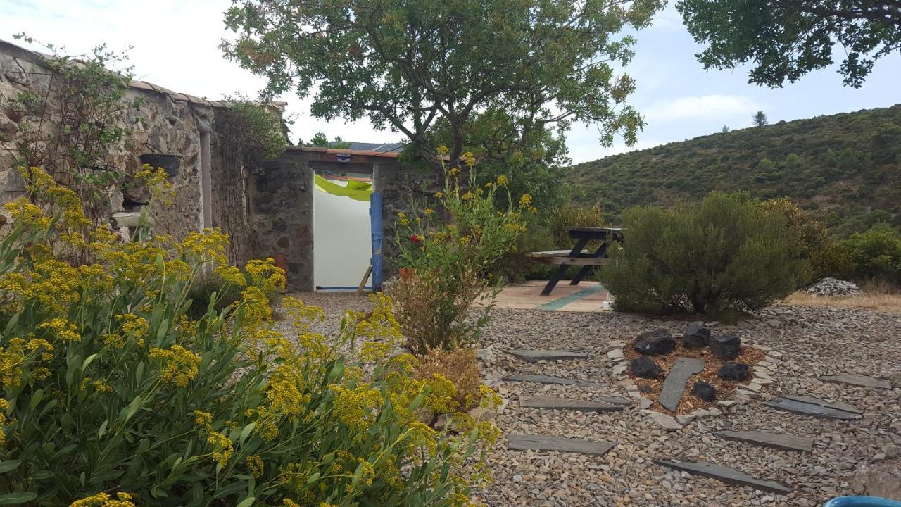 Gite Dans Ancienne Bergerie En Pleine Garrigue Fraisse-des-Corbieres Екстер'єр фото