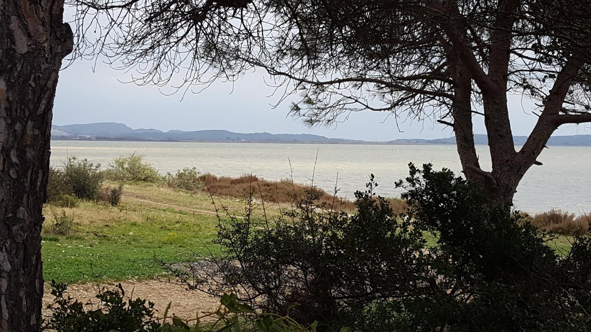Gite Dans Ancienne Bergerie En Pleine Garrigue Fraisse-des-Corbieres Екстер'єр фото