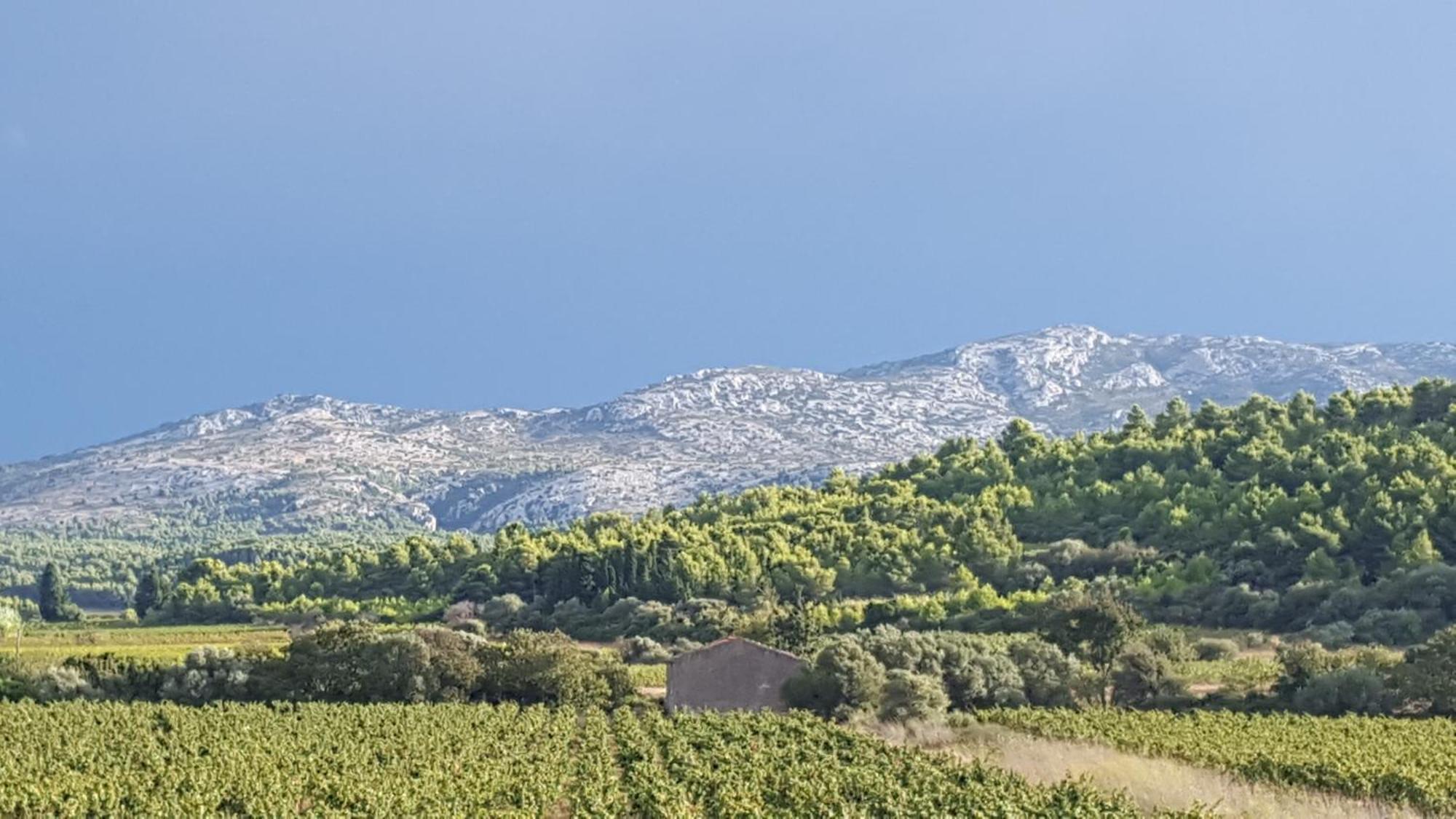 Gite Dans Ancienne Bergerie En Pleine Garrigue Fraisse-des-Corbieres Екстер'єр фото